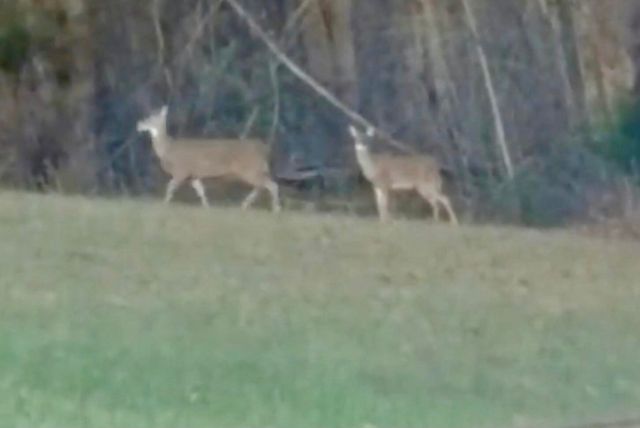 1570 Hwy 3249 B, Stanford, KY 40484