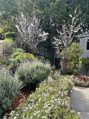 2506 Ralston Avenue, Belmont, CA 94002