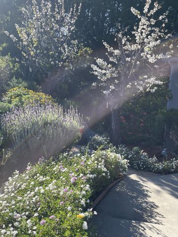 2506 Ralston Avenue, Belmont, CA 94002