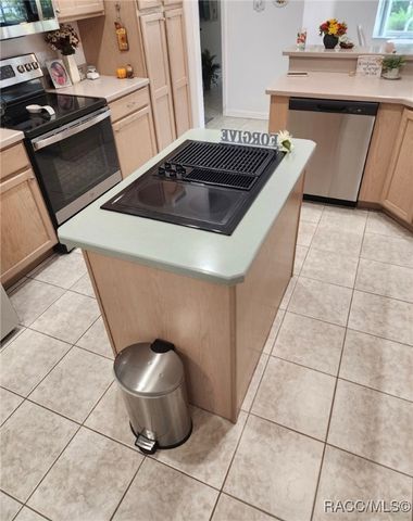 2 Speceberry Court S, Homosassa, FL 34446