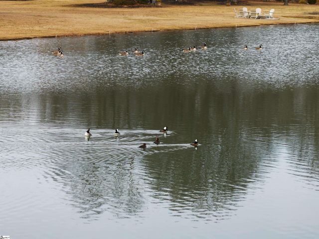 430 Winesap Road, Duncan, SC 29334