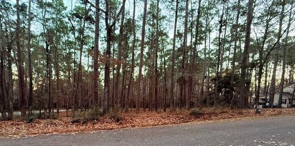 220 & 7 Altwood Drive, Coldspring, TX 77331