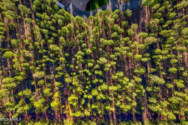 2332 HALL Drive, Lakeside, AZ 85929