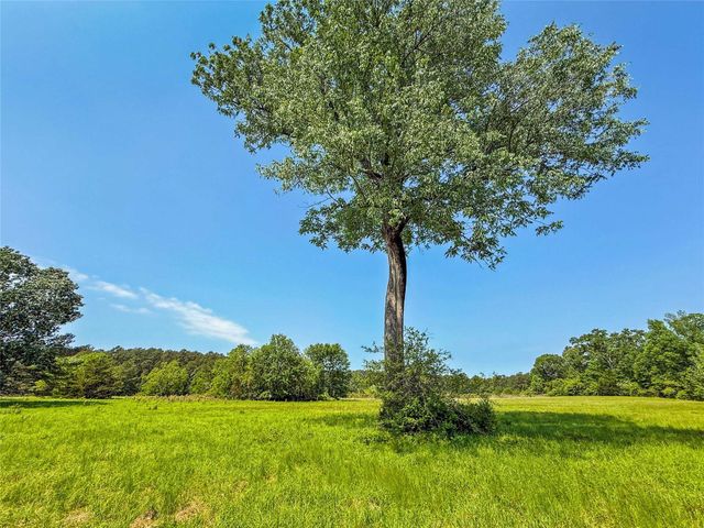 398 County Road 172, Jasper, TX 75951