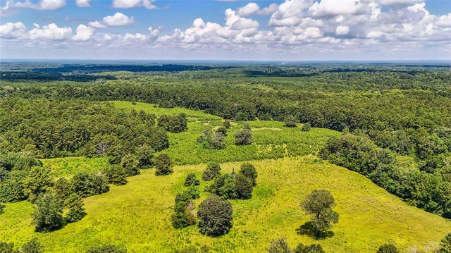 398 County Road 172, Jasper, TX 75951