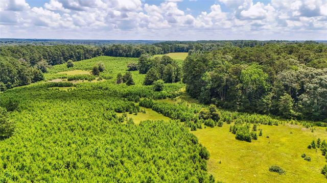 398 County Road 172, Jasper, TX 75951