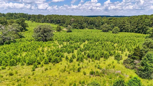 398 County Road 172, Jasper, TX 75951