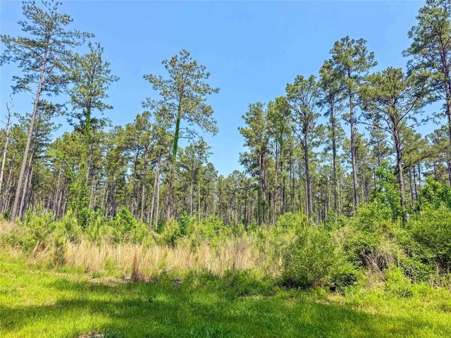 398 County Road 172, Jasper, TX 75951
