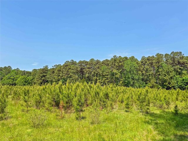 398 County Road 172, Jasper, TX 75951