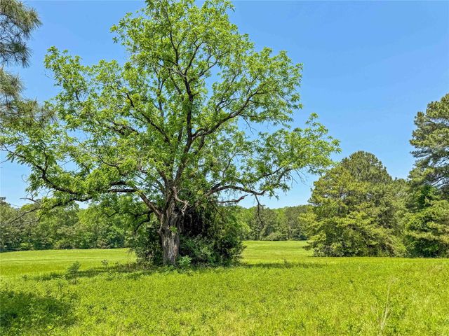 398 County Road 172, Jasper, TX 75951