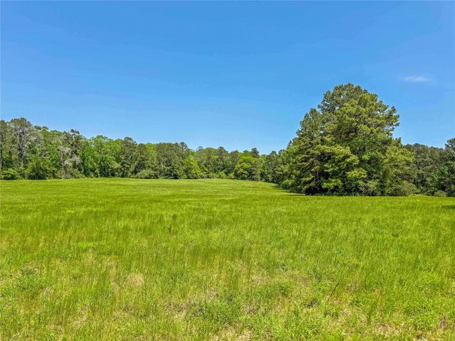 398 County Road 172, Jasper, TX 75951