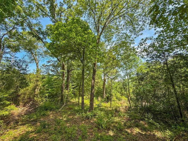 398 County Road 172, Jasper, TX 75951