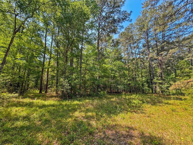 398 County Road 172, Jasper, TX 75951