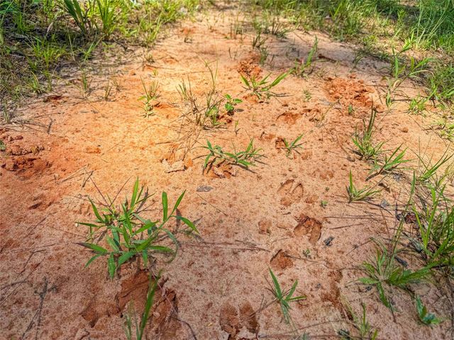 398 County Road 172, Jasper, TX 75951