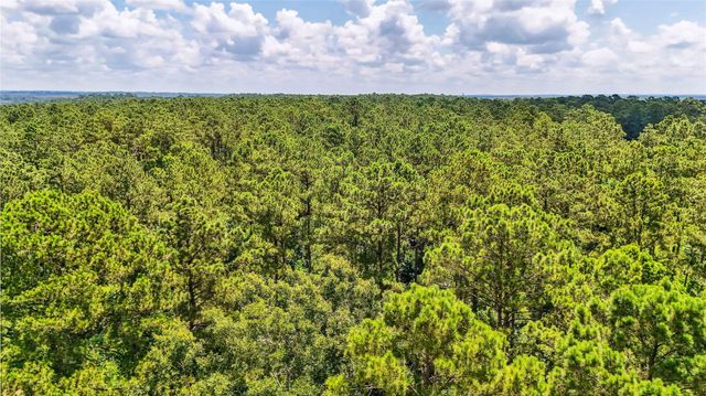 398 County Road 172, Jasper, TX 75951