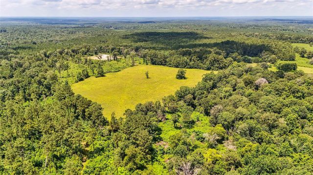 398 County Road 172, Jasper, TX 75951