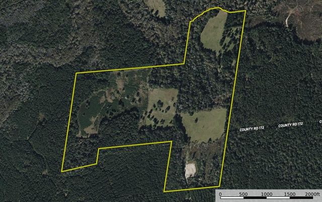 398 County Road 172, Jasper, TX 75951