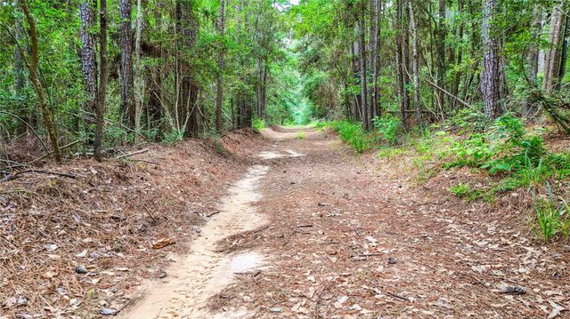 398 County Road 172, Jasper, TX 75951