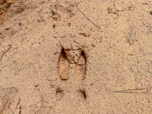 398 County Road 172, Jasper, TX 75951