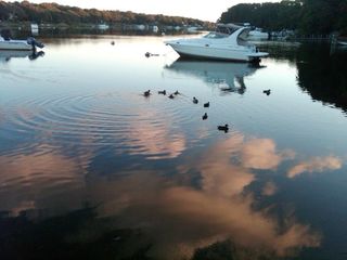 66 Woodland Trail, Falmouth, MA 02536