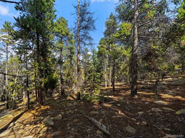 000 Edward Drive, Conifer, CO 80433
