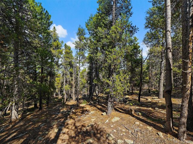 000 Edward Drive, Conifer, CO 80433