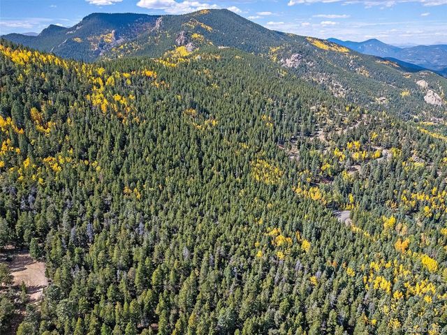 000 Edward Drive, Conifer, CO 80433