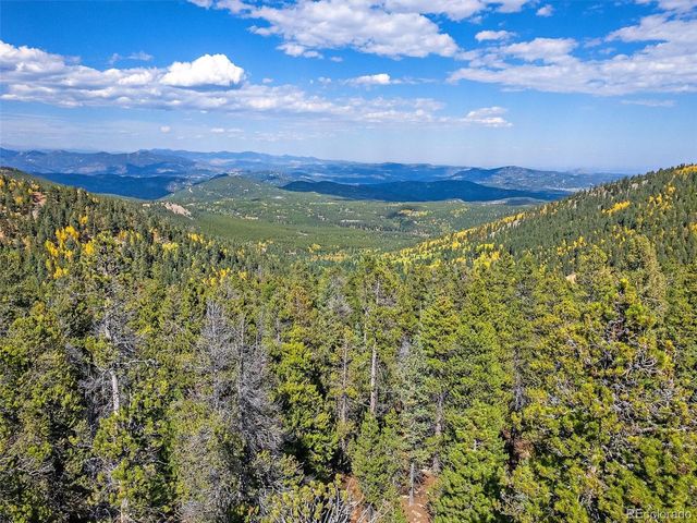 000 Edward Drive, Conifer, CO 80433