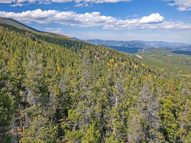 000 Edward Drive, Conifer, CO 80433