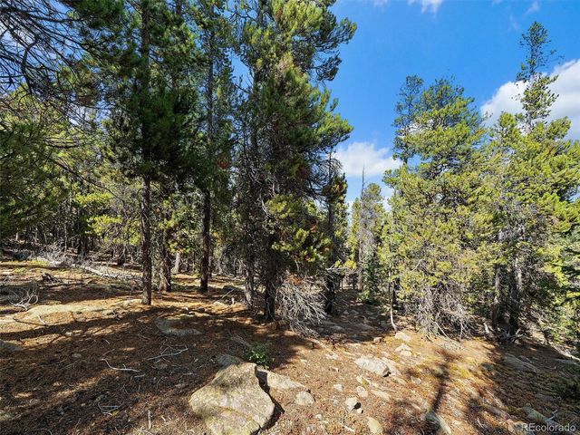 000 Edward Drive, Conifer, CO 80433