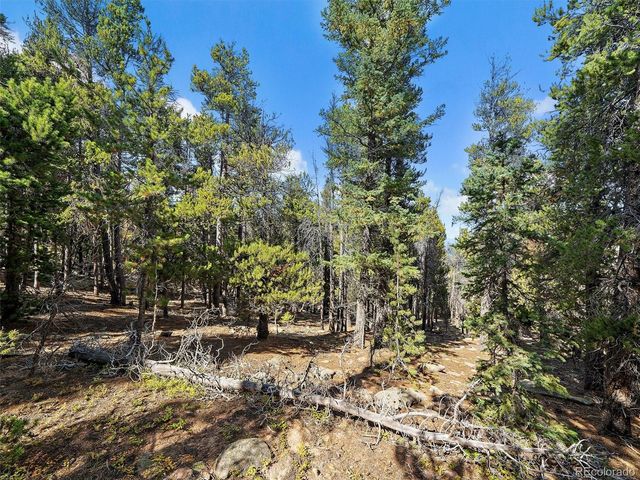 000 Edward Drive, Conifer, CO 80433