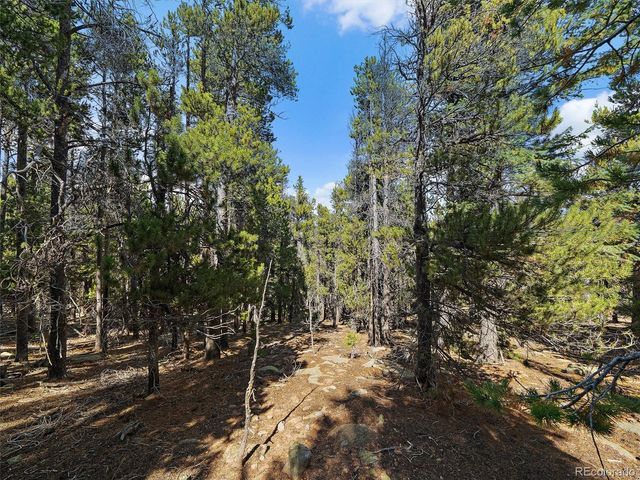 000 Edward Drive, Conifer, CO 80433
