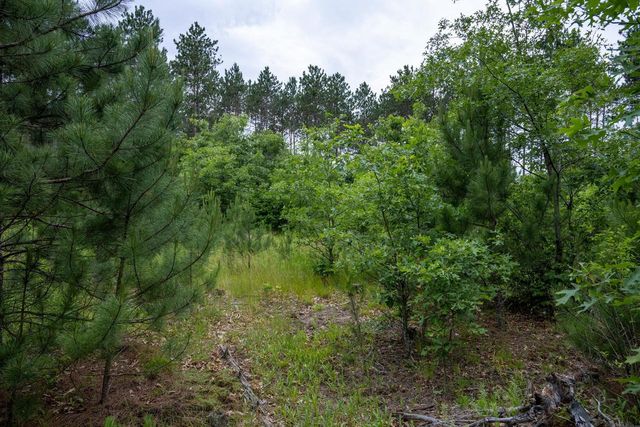 Lot 5 Bollig Court, Nekoosa, WI 54457
