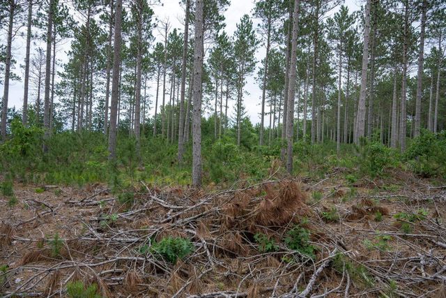 Lot 5 Bollig Court, Nekoosa, WI 54457