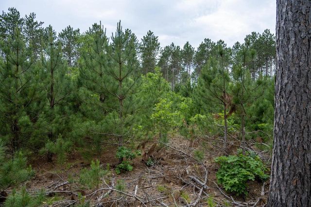 Lot 5 Bollig Court, Nekoosa, WI 54457