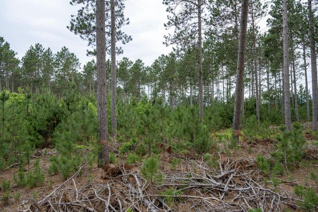 Lot 5 Bollig Court, Nekoosa, WI 54457