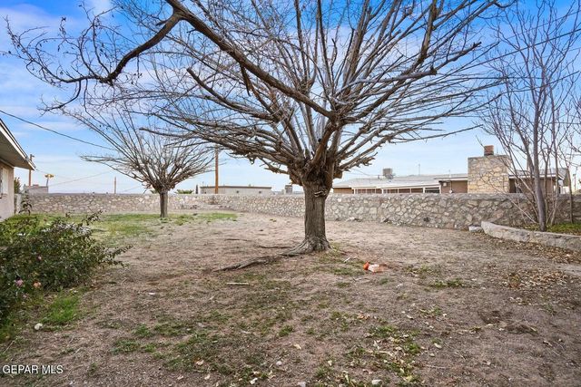 3314 CAPELLA Avenue, El Paso, TX 79904