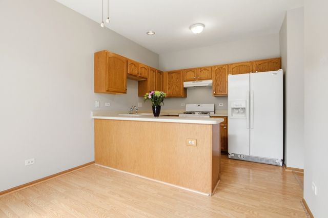 3864 Pathfinder Lane, Joliet, IL 60435