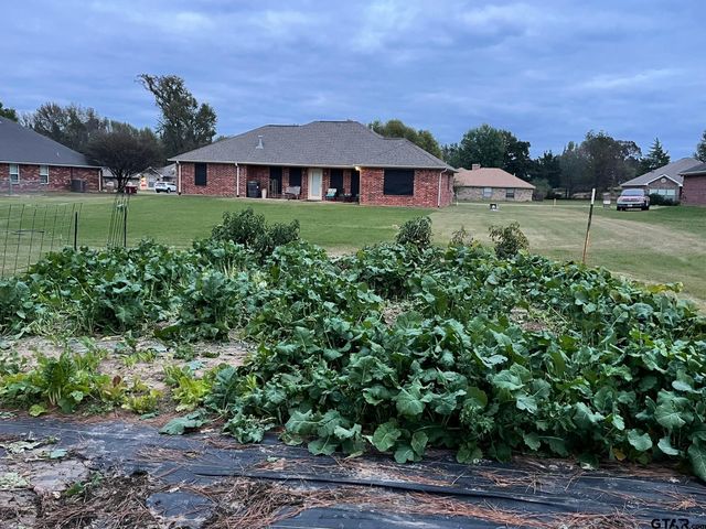 197 CR 3101, Pittsburg, TX 75686