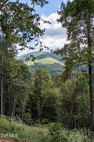 54 Summerfield Drive, Butler, TN 37640