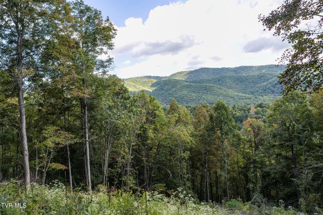 54 Summerfield Drive, Butler, TN 37640