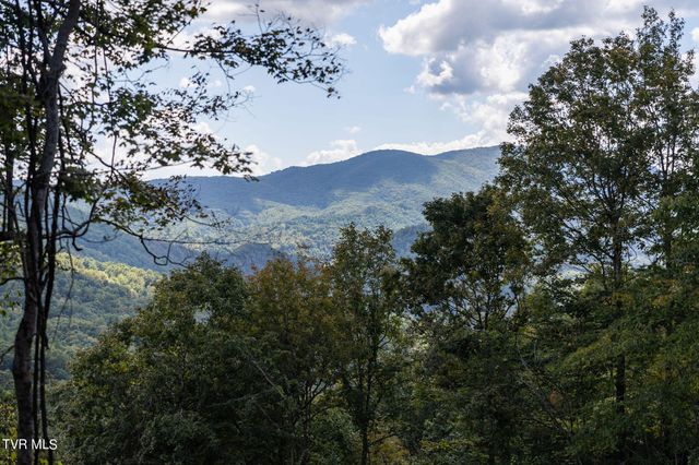 54 Summerfield Drive, Butler, TN 37640