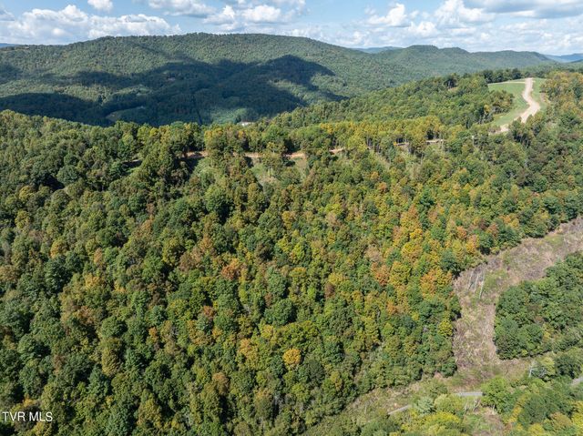 54 Summerfield Drive, Butler, TN 37640