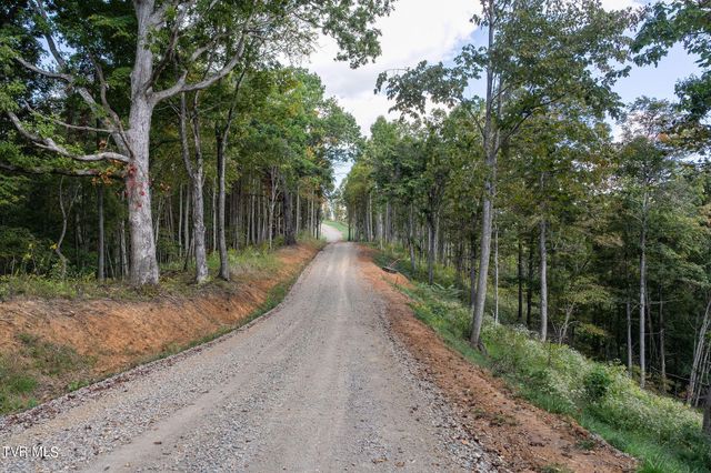 54 Summerfield Drive, Butler, TN 37640