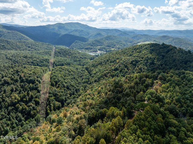 54 Summerfield Drive, Butler, TN 37640
