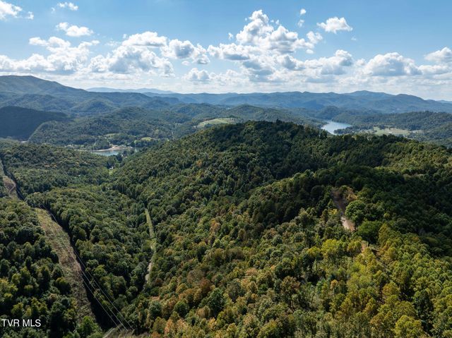 54 Summerfield Drive, Butler, TN 37640
