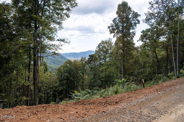 54 Summerfield Drive, Butler, TN 37640