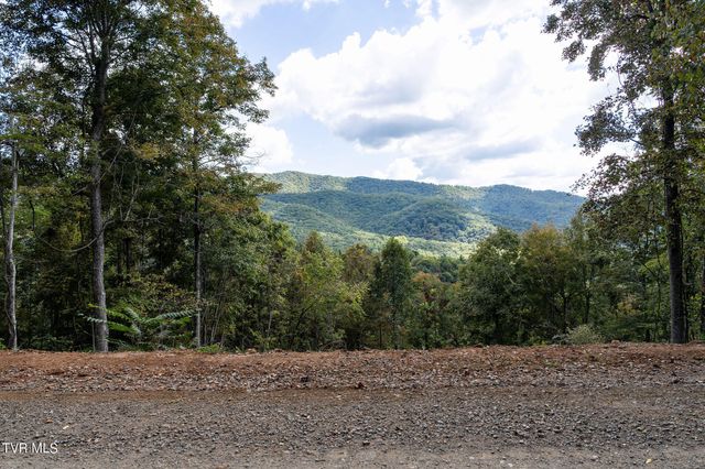 54 Summerfield Drive, Butler, TN 37640