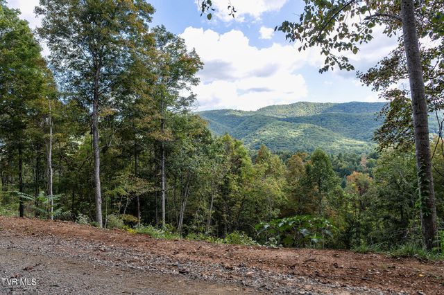 54 Summerfield Drive, Butler, TN 37640