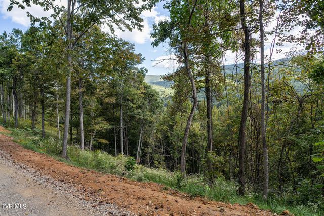 54 Summerfield Drive, Butler, TN 37640